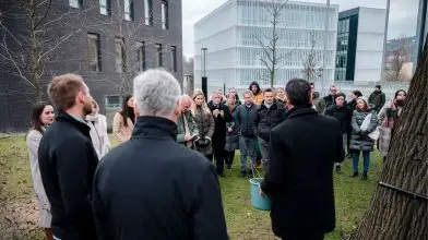 Erdőtelepítéssel célozza be a karbonsemlegességet a MOME