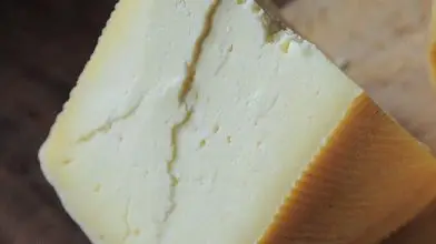 Két magyar sajt is tarolt Norvégiában