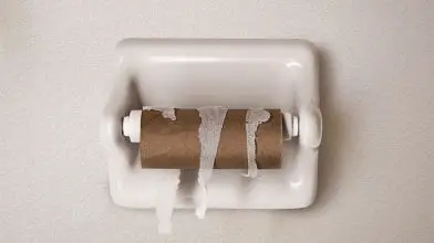 Tényleg nélkülözhetetlen a vécépapír?