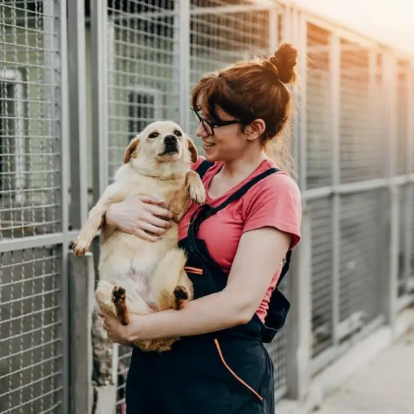 Sikeres évet zárt a Közös ügyünk az állatvédelem Alapítvány