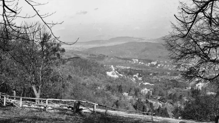 Normafa – Honnan ered a neve, és miért ennyire kedvelt kirándulóhely?