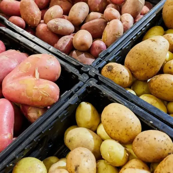 Környezettudatos működést segítő rekeszekre vált a SPAR Magyarország