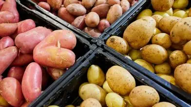 Környezettudatos működést segítő rekeszekre vált a SPAR Magyarország