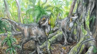 Növényevő dinoszaurusz csontvázára bukkantak a Hátszegi-medencében