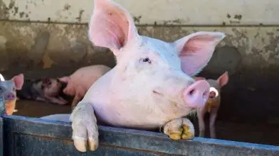 Egy esemény, amely összehozza a közösséget a hideg napokon is!