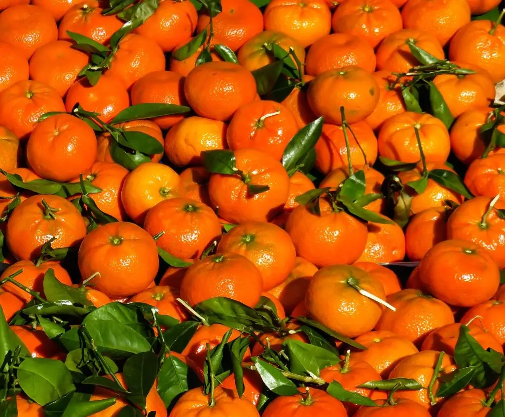 mandarinok