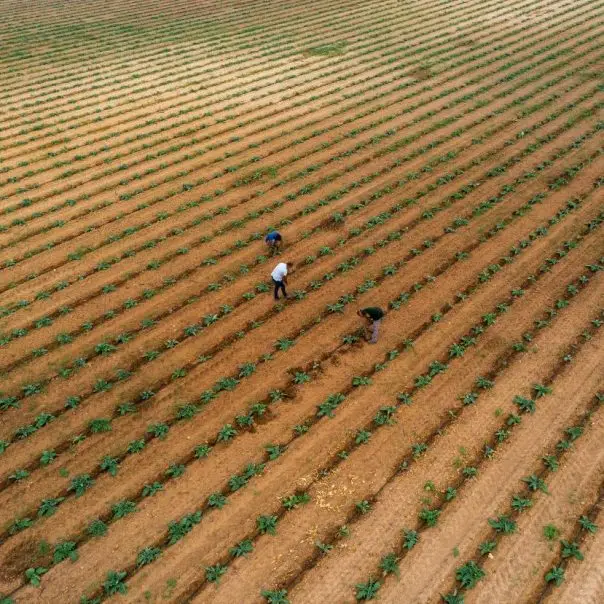 A farm, ahol élnénk – Sorozatajánló