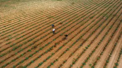 A farm, ahol élnénk – Sorozatajánló