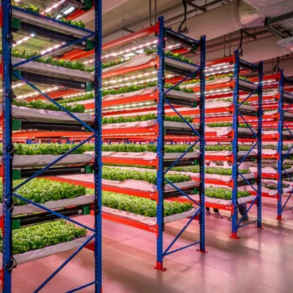Felvásárolták a világ legnagyobb vertikális farmját
