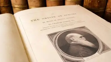 Mostantól bárki beleolvashat Darwin magánkönyvtárába