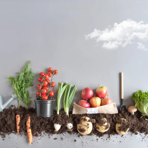 A fenntarthatóság jegyében zajlik az idei FoodTechShow