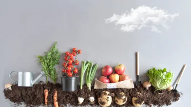 A fenntarthatóság jegyében zajlik az idei FoodTechShow