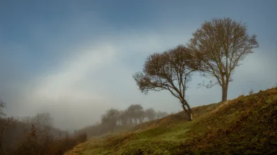 Láttál már fehér szivárványt?