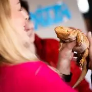 Különleges hüllő is segíti a Közös Ügyünk az Állatvédelem Alapítvány programját