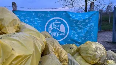 Másfél tonna hulladékot gyűjtöttek össze a Tisza árteréből