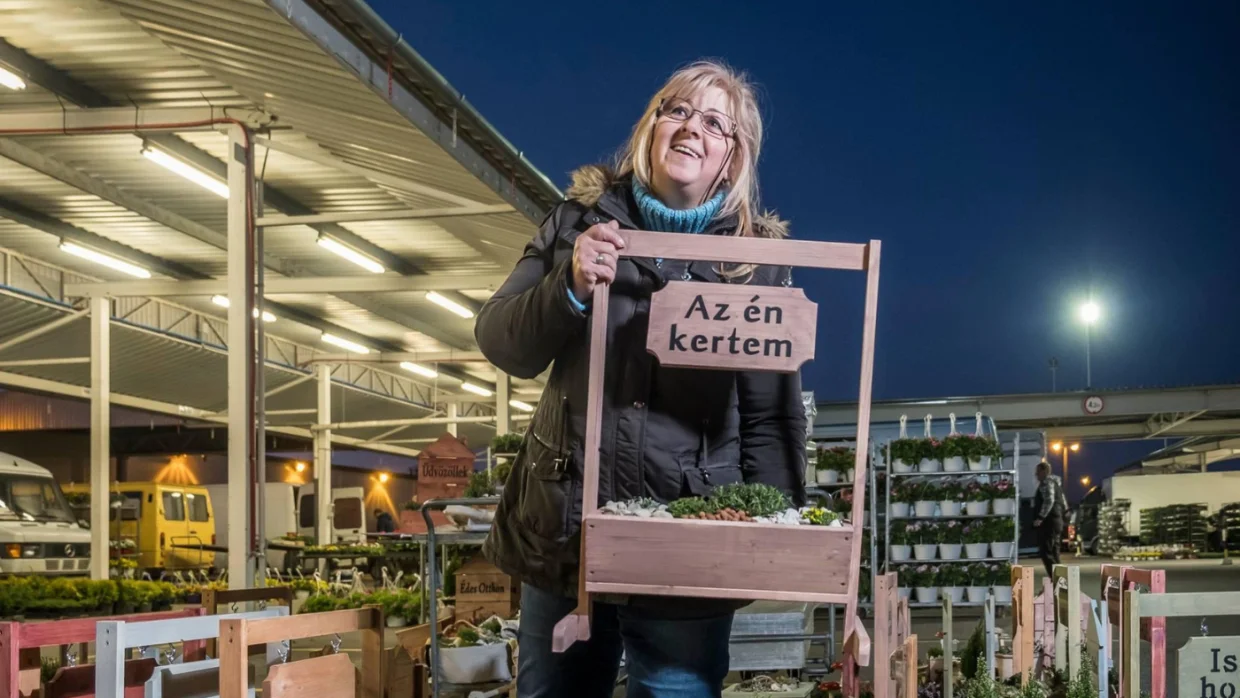 Virágok bűvöletében – Így működik Kelet-Közép Európa legnagyobb virágpiaca