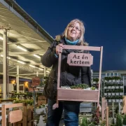 Virágok bűvöletében – Így működik Kelet-Közép Európa legnagyobb virágpiaca