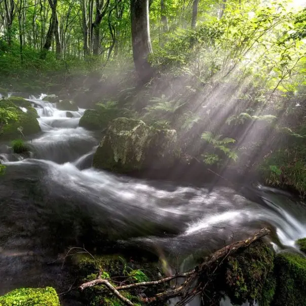 A Bükk-vidék Geopark elnyerte az UNESCO Globális Geopark címet