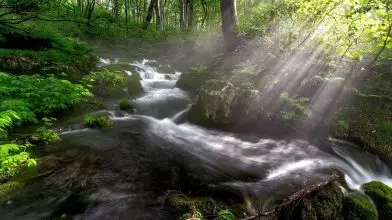 A Bükk-vidék Geopark elnyerte az UNESCO Globális Geopark címet