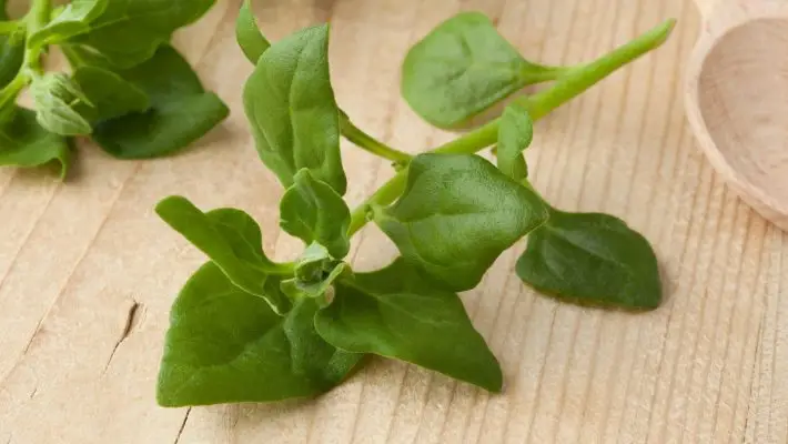 Utálod a spenótot? Ezt a fajtát garantáltan szeretni fogod!