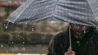 Az esővíz megtartása és szikkasztása lehet az új trend a magyar városokban