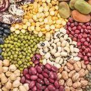 GMO-mentes növényekre épül a magyar mezőgazdaság és élelmiszeripar
