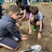 Gyermekek közreműködésével ültettek Miyawaki-erdőt Sopronban