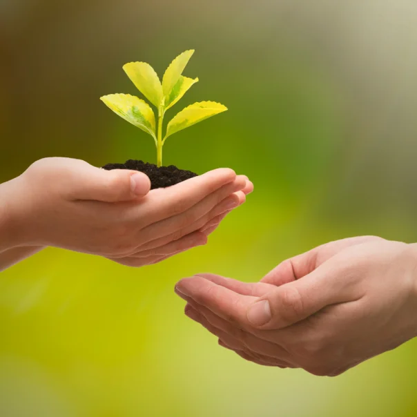 Új pályázati lehetőségek környezet- és természetvédelemi témájú projektek számára!