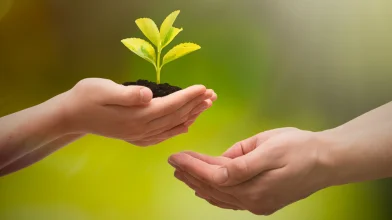 Új pályázati lehetőségek környezet- és természetvédelemi témájú projektek számára!