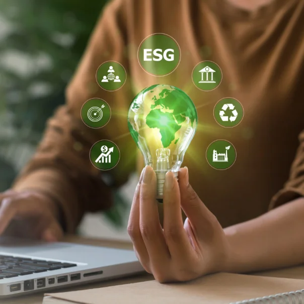 Magyar perspektívából vizsgálták az ESG szabályozások hatását a finanszírozásra