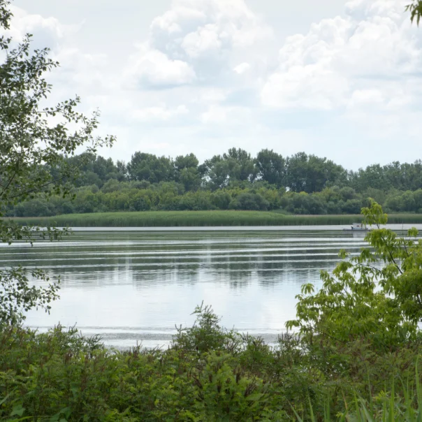Elstartolt az V. Tisza-tavi PET Kupa