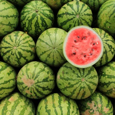 Apróbb dinnye, nagyobb lehetőség