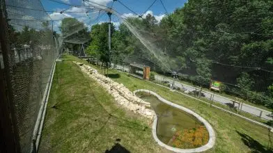 Nagymacskakifutót adtak át a veszprémi állatkertben