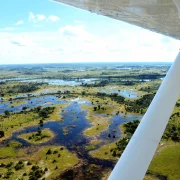 Torkolat a sivatagban: a csodálatos Okavango-delta