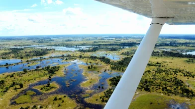 Torkolat a sivatagban: a csodálatos Okavango-delta
