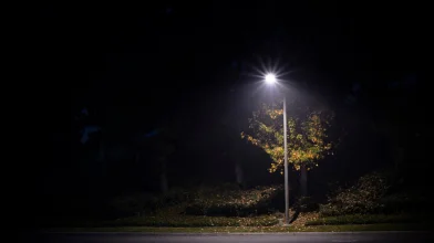 A közvilágítás is felelőssé tehető a biodiverzitás visszaszorulásáért