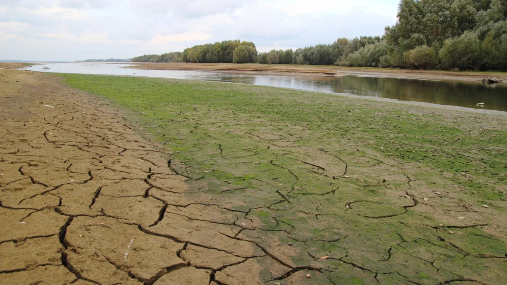 kiszáradt, szikes talaj 