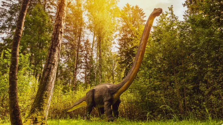 Vajon miért nőtt rekordgyorsasággal a növényevő dinoszauruszok foga?