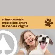 Kutyafesztivál a budapesti Városligetben a SPAR támogatásával