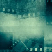 Kreativitás és természetvédelem: erre fókuszál a Planet Lens nemzetközi filmfesztivál