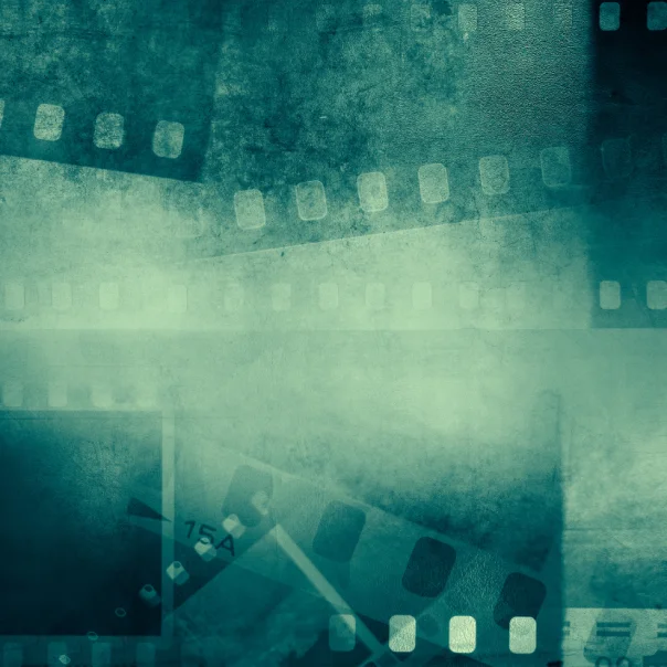 Kreativitás és természetvédelem: erre fókuszál a Planet Lens nemzetközi filmfesztivál