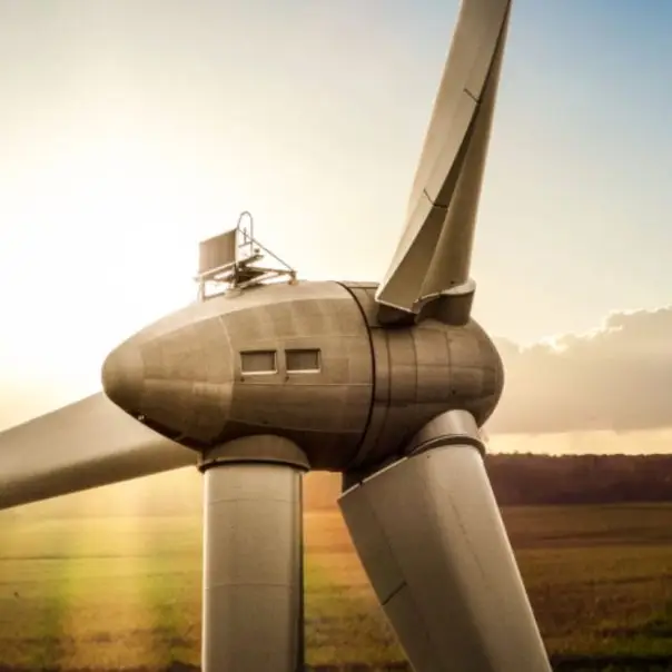 Szélerőművek és rovarok: az energiaátmenet rejtett áldozatai