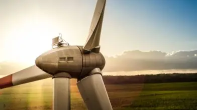 Szélerőművek és rovarok: az energiaátmenet rejtett áldozatai
