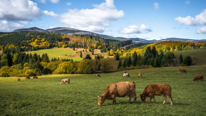 Szén-negatív élelmiszerekkel állíthatjuk meg a klímaváltozást?