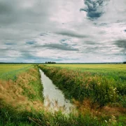 Szemléletváltás szükséges a vízkészletek védelmében