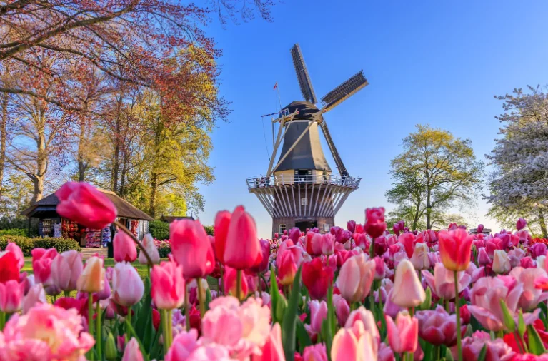 Lisse, Hollandia