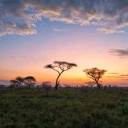 Fenntartható-e az észak-afrikai földgázexport?