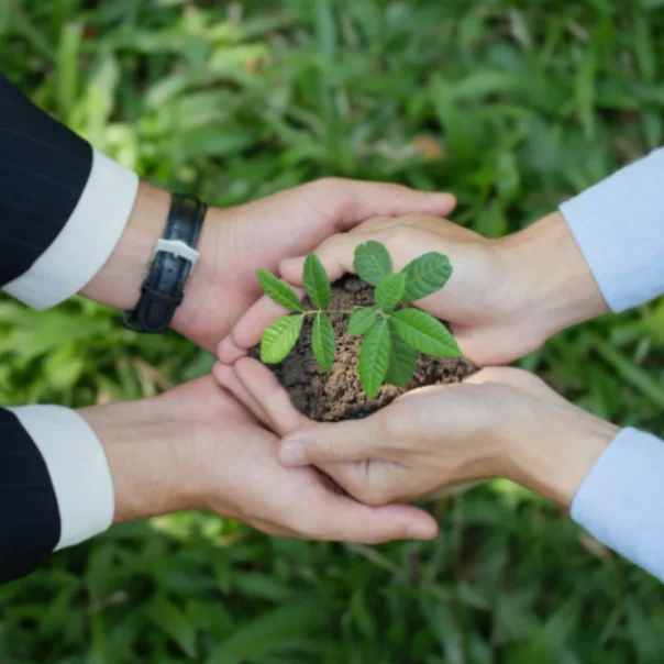 Greenhushing: új trend a vállalatok világában