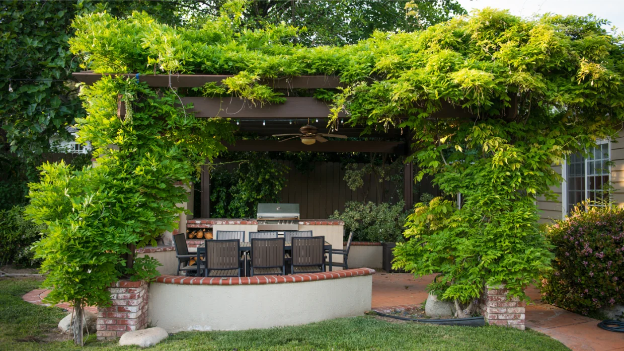 A pergola és a lugas a kert árnyékos, nyugodt menedékei – Hogyan építsd fel őket?