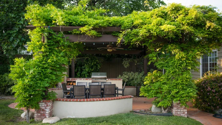 A pergola és a lugas a kert árnyékos, nyugodt menedékei – Hogyan építsd fel őket?